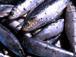 Er Fish Oil bra for tenåringer?