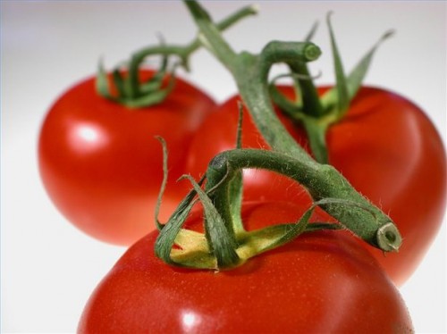 Hvordan vite Tomato allergisymptomer