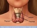 Hvordan du spiser sunt å ha en sunn Thyroid