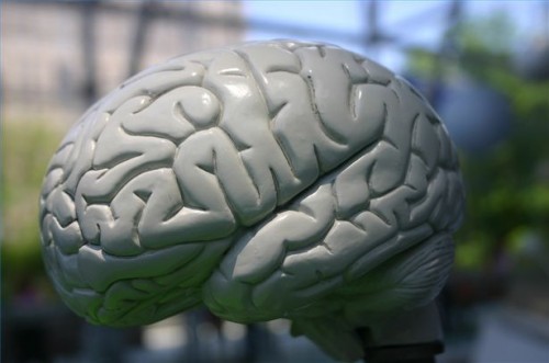 Hva er behandlingen for Cerebral atrofi?