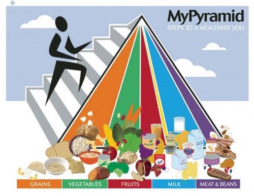 The History of the Food Pyramid