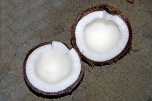Myten om Coconut Oil