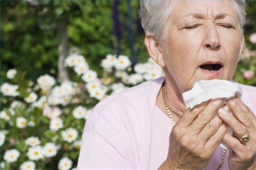 Hvordan forberede For Allergy Season