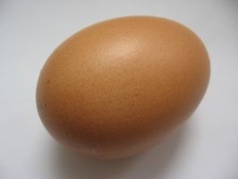 Hva er årsaken til brune flekker i kylling egg?