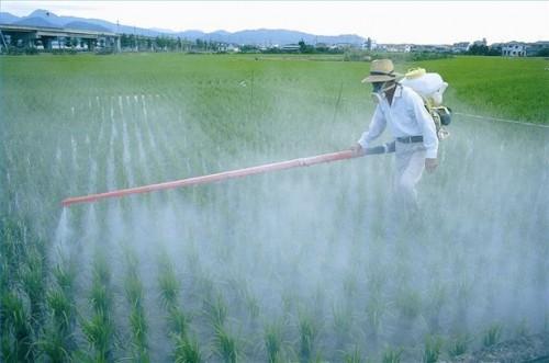 Hvordan behandle Pesticide Poisoning